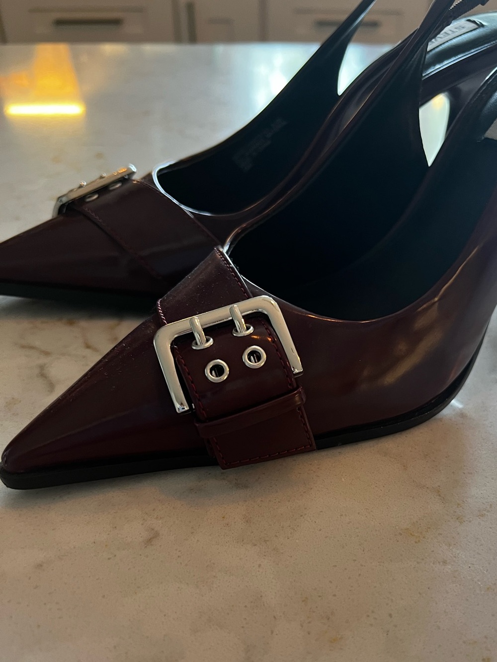 Pointed Buckle Slingback Pump by Steve Madden in Burgundy